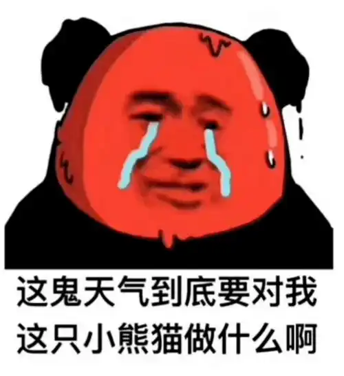 今天开始,为期10天
