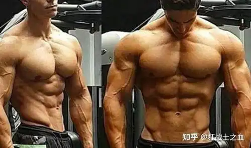 为什么女生都喜欢腹肌
