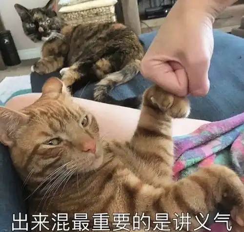 坐过牢的人还可以在银行贷款吗

