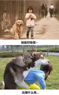 萌宠图片搞笑图片每日囧图3页hao76手游网
