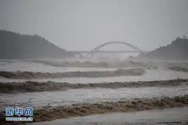 舟山朱家尖海边的滞留游客准备撤离到安全地带
