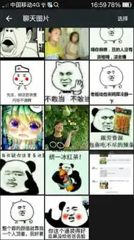 赏金很高,求ps大神,把有个女人的那个恶搞图覆盖到第二章手机截图中的任何一个图片上,赏金很高
