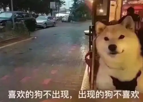 你手机里有搞笑图片和段子么,分享一下
