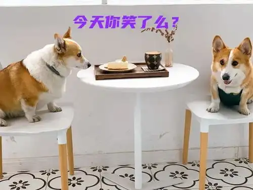 搞笑趣图长得丑还不让说,你是要欺骗自己到什么时候
