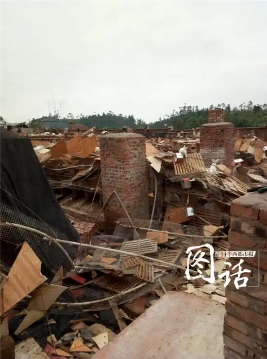 自贡荣县遭遇风灾6000平米兔舍坍塌1万余只兔子死亡
