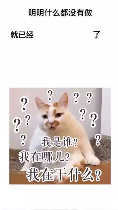 套路表情包明明什么都没做
