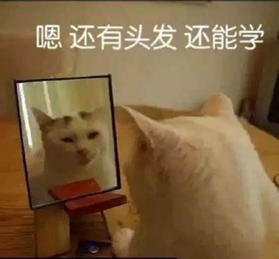 公认全球口碑最好的防脱发洗发水,做足功课不踩坑

