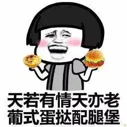 搞笑图集自我隔离的人是怎么开展娱乐活动的
