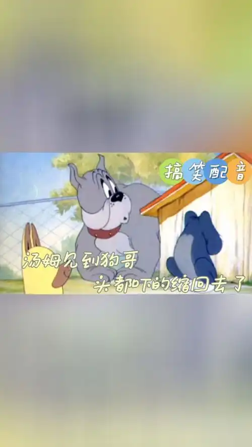 搞笑配音猫和老鼠汤姆这次带个狗头,没想到还是被发现了
