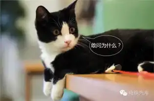 复兴奇瑞
