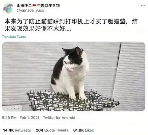 老艺术家放图时间无论如何新年都已经开始了
