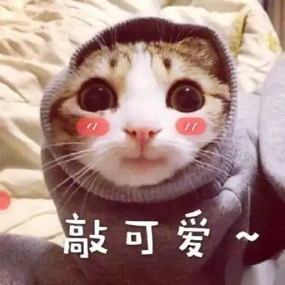 经过试验,我证明了膝跳反射搞笑段子
