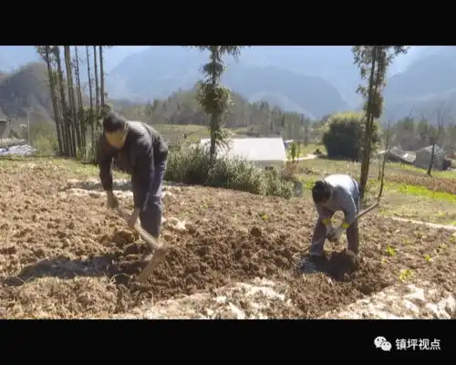宋光品勤劳致富奔小康大路越走越宽广
