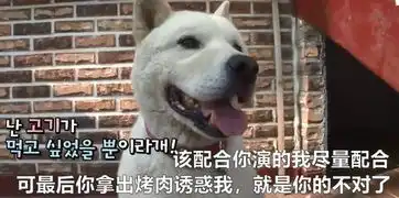 狗狗的好友去世了,它绝食两个月,结局让人十分意外
