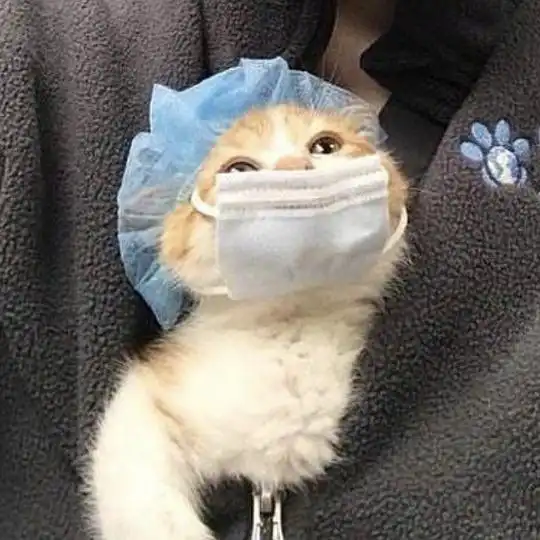 的相册猫生百态
