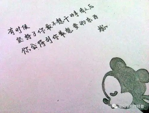每周一话高三和大一的区别
