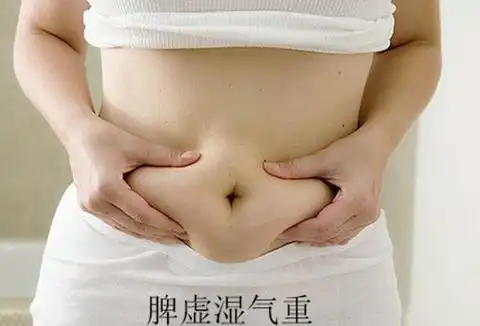 发胖从肚子开始是真的吗根本原因是这个
