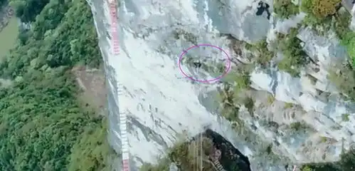 陈学冬悬崖峭壁走钢丝被大姨打屁屁,配图有趣,网友打得好

