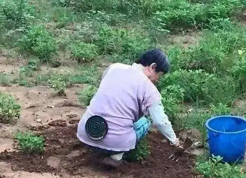 搞笑图片原来校服还有这种操作
