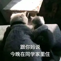给女朋友发什么表情包合适
