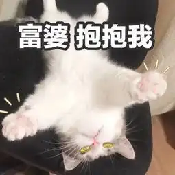 猫咪表情包发出反派的笑声富婆抱抱我
