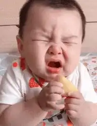 搞笑gif这智商,怎么活到这么大的
