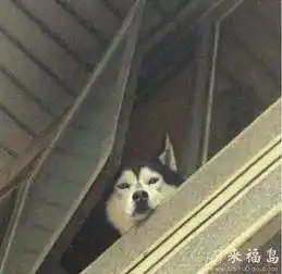 搞笑图片客官,来玩呀
