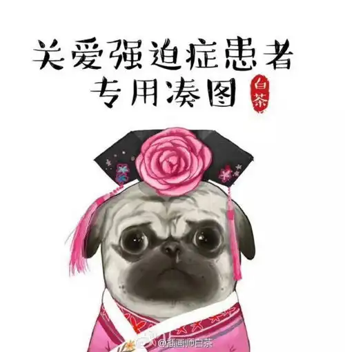 路过云南丽江
