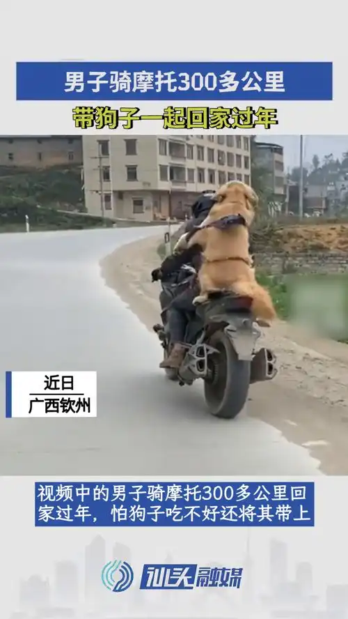 男子骑摩托300多公里,带狗子一起回家过年
