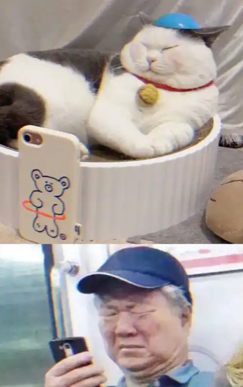 腾讯内容开放平台
