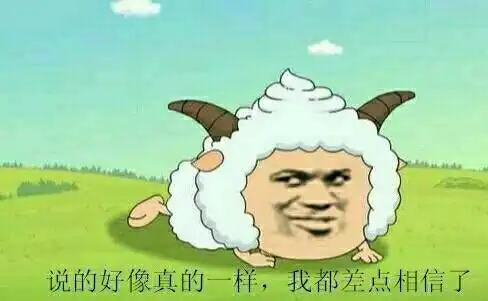 网络
