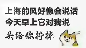 上海人看雪,北方人却在赚外快888元直播堆雪人
