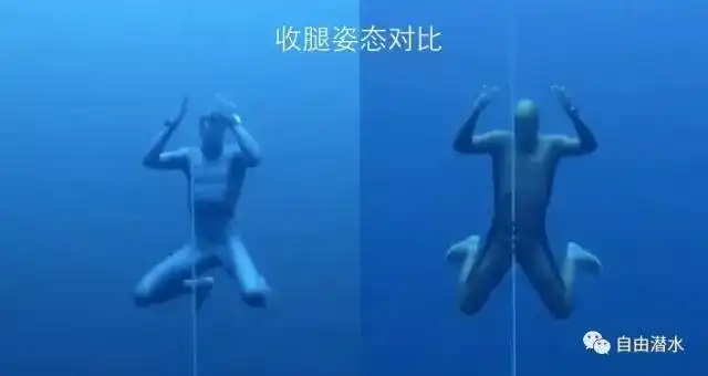 无蹼双雄争霸
