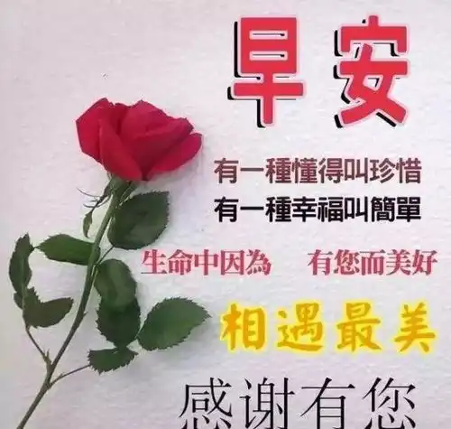 因病休学期间可以当旁听生吗
