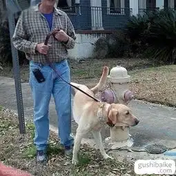 搞笑图片大全搞笑图片笑死人故事百科
