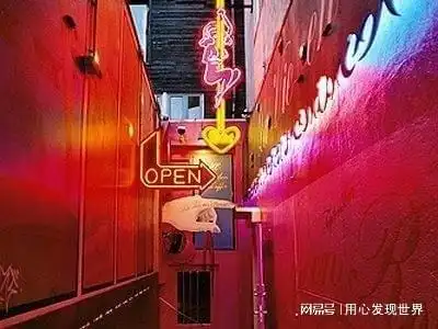 爱泼斯坦的被捕,揭开了美国性产业的黑幕

