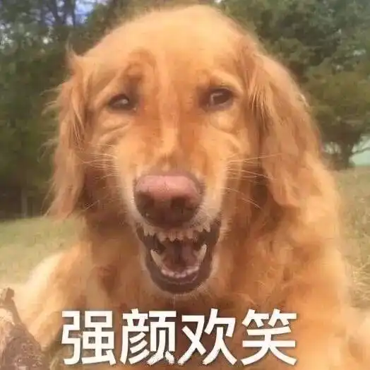 猫狗双全的人生是一种什么样的体验
