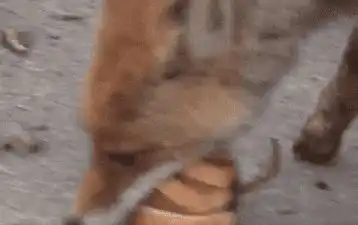 女同事半夜发了张照片给我,这是在暗示什么呢哈哈哈哈哈哈
