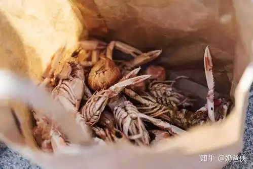 吃小龙虾的季节又来啦但听说它重金属超标有寄生虫
