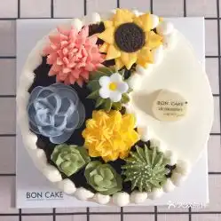 boncake合生汇店的半面多肉植物生日蛋糕好不好吃用户评价口味怎么样北京美食半面多肉植物生日蛋糕实拍图片大众点评
