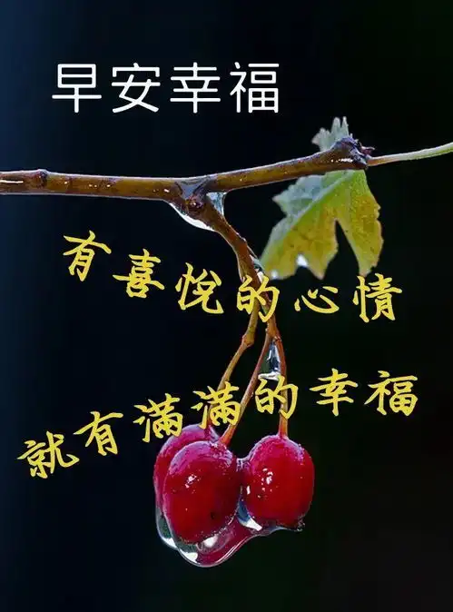星期日早上好问候语动态图片大全,微信朋友圈早晨问候语
