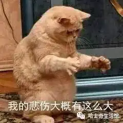 哈士奇搞笑图片
