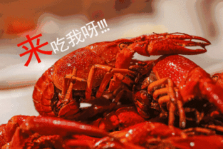 小龙虾都征战世界杯了,你还在怀疑它
