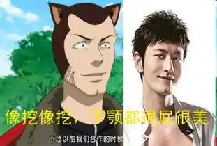 刘亦菲林志颖小s黄晓明赵薇明星与动画角色搞笑撞脸组图
