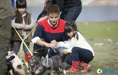 爸爸去哪儿宜春版一起参加碧桂园春季赶鸭赛
