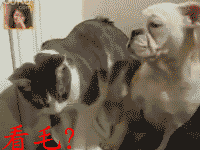 笑一笑一
