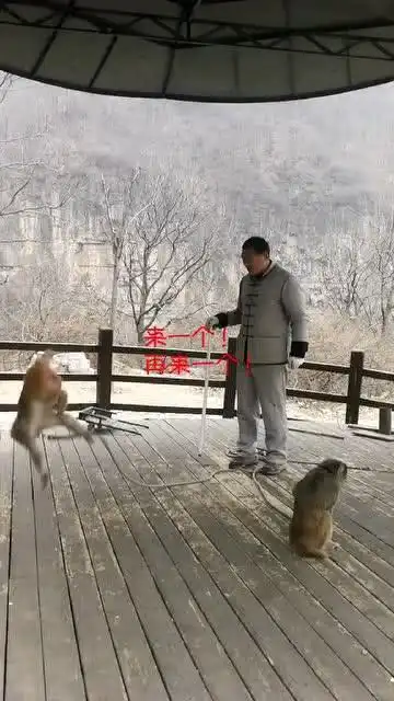 右边这位你是来搞笑的吗
