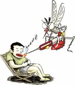 蚊子军团来势汹汹如何打赢阻击战
