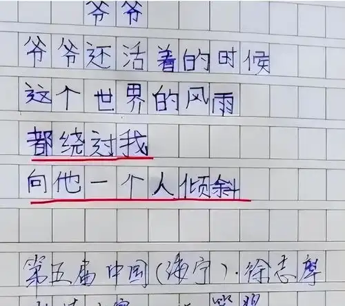小学生作文爷爷获奖走红,全篇只有26个字,却让人泪流满面
