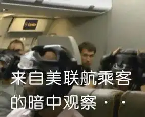 美联航暴力赶客网友上传乘客集体戴头盔恶搞照
